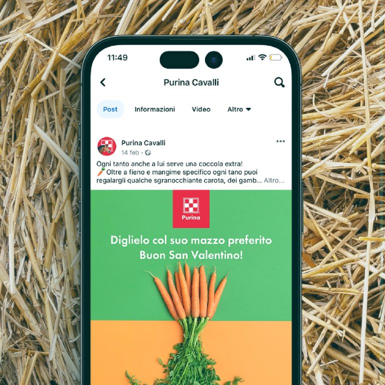 Post Facebook di esempio creato per il profilo Purina Cavalli