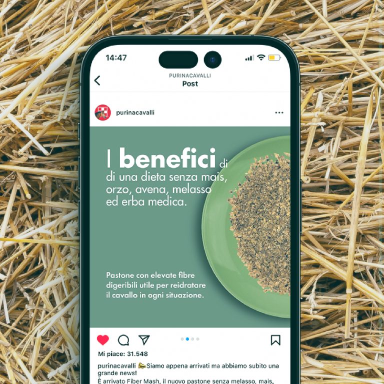Post Instagram del profilo Purina Cavalli