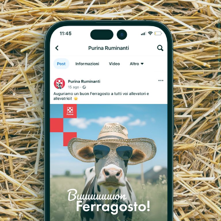 Post Facebook con mucca che augura buon Ferragosto per il profilo Purina Ruminanti