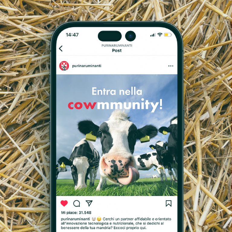 Post Instagram per coinvolgere la community social del profilo Purina Ruminanti