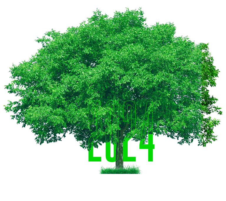 Albero con la scritta "2024" sovrapposta in verde lime nella parte inferiore.