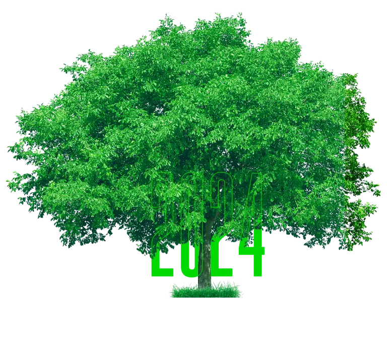 Albero con la scritta "2024" sovrapposta in verde lime nella parte inferiore.