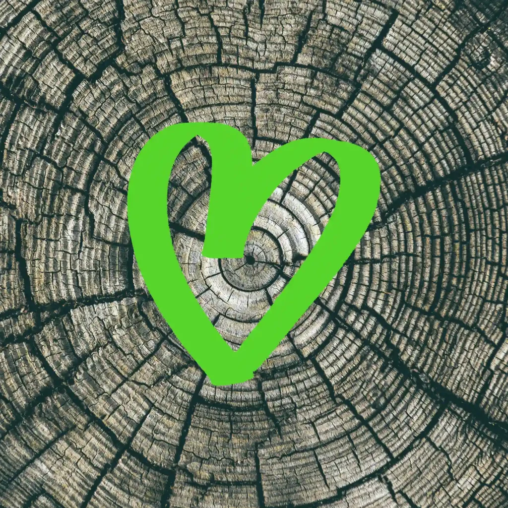 Cuore verde su ceppo d'albero con anelli visibili e struttura del legno.