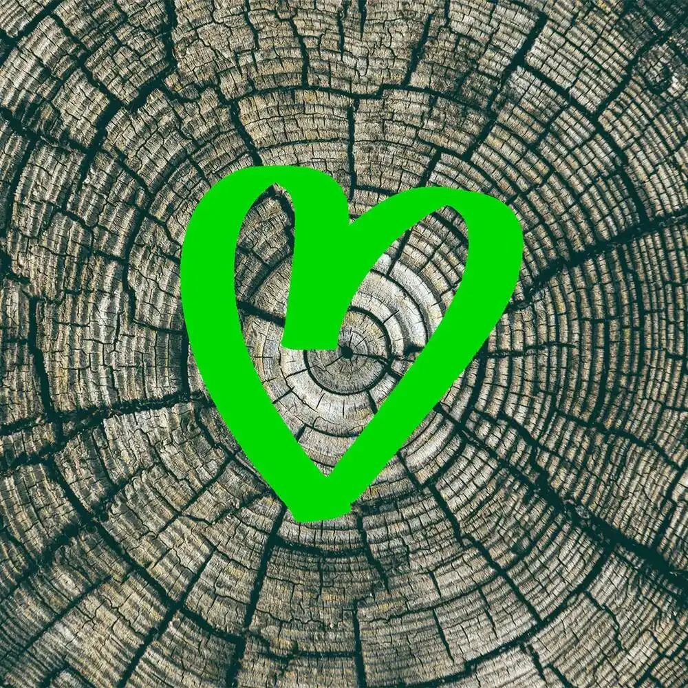 Green heart drawn on tree rings and textured wood.